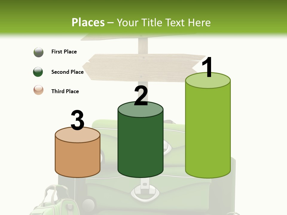 Service Exotic Information PowerPoint Template