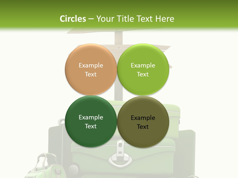 Service Exotic Information PowerPoint Template