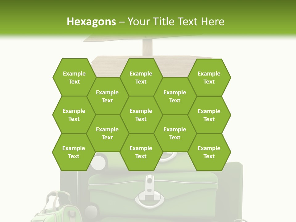 Service Exotic Information PowerPoint Template