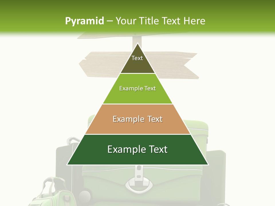 Service Exotic Information PowerPoint Template