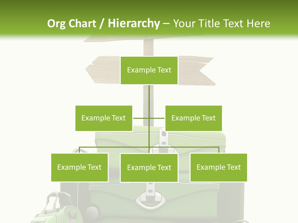Service Exotic Information PowerPoint Template