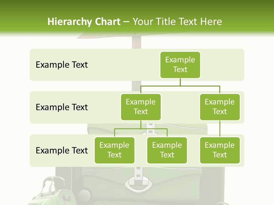 Service Exotic Information PowerPoint Template
