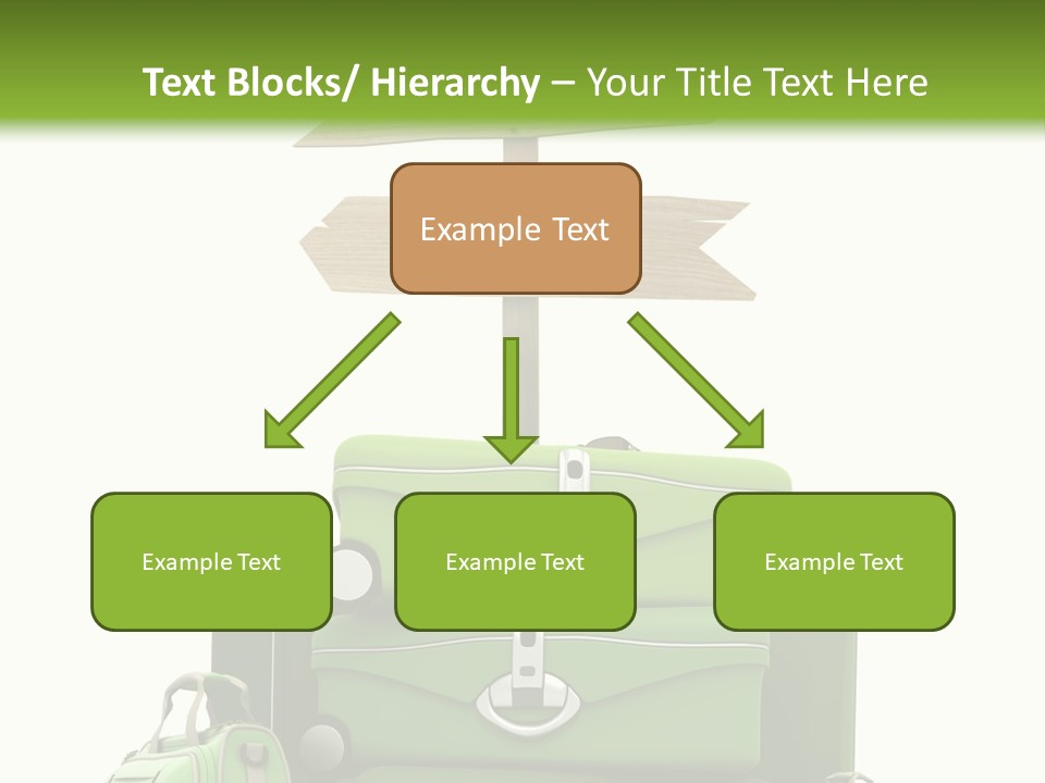 Service Exotic Information PowerPoint Template