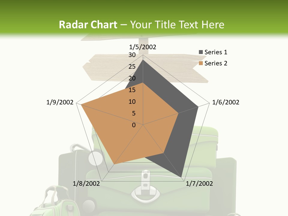 Service Exotic Information PowerPoint Template