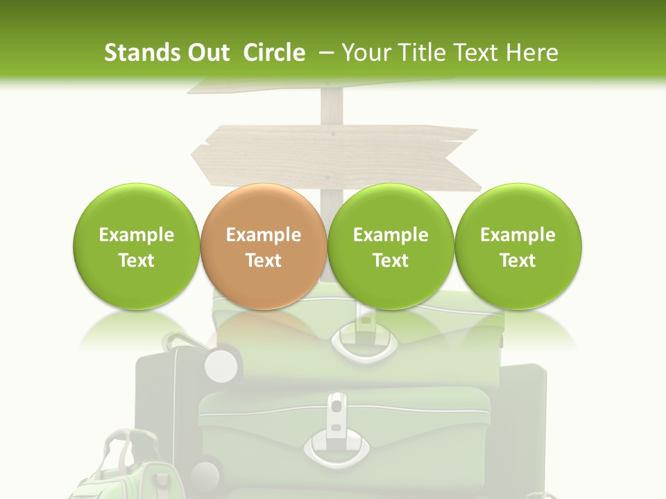 Service Exotic Information PowerPoint Template