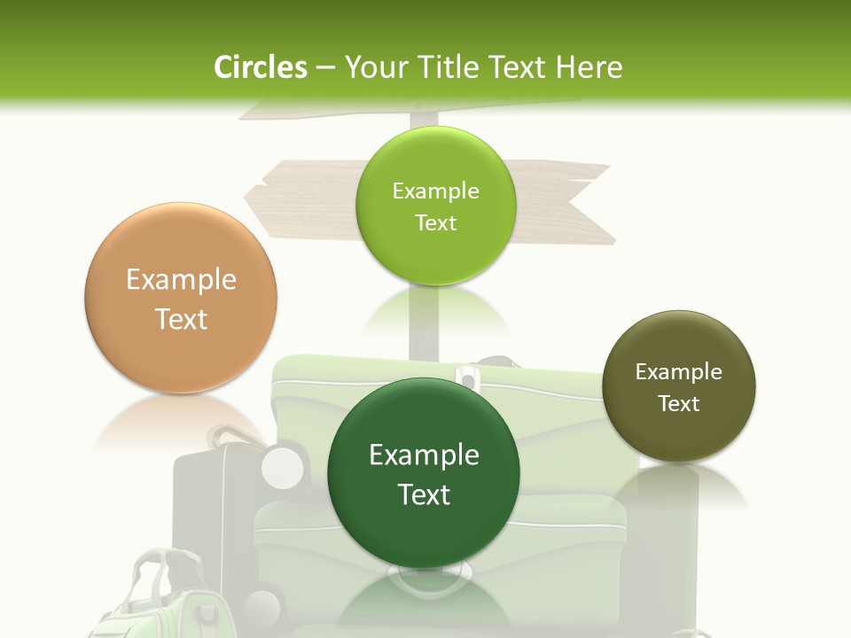 Service Exotic Information PowerPoint Template