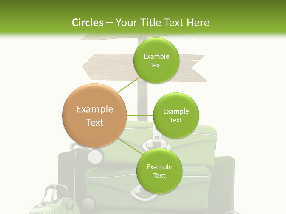 Service Exotic Information PowerPoint Template