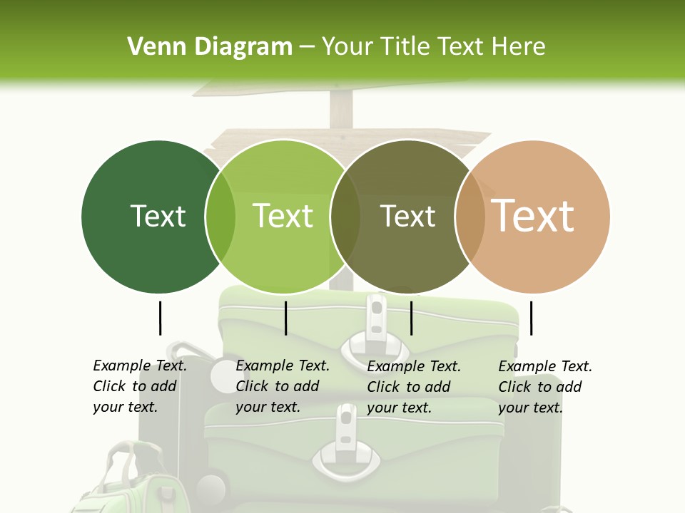 Service Exotic Information PowerPoint Template