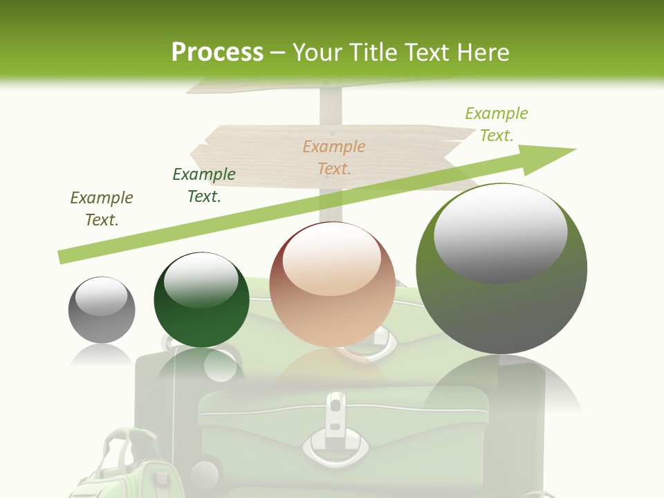 Service Exotic Information PowerPoint Template