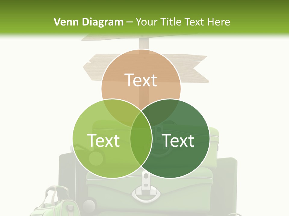 Service Exotic Information PowerPoint Template