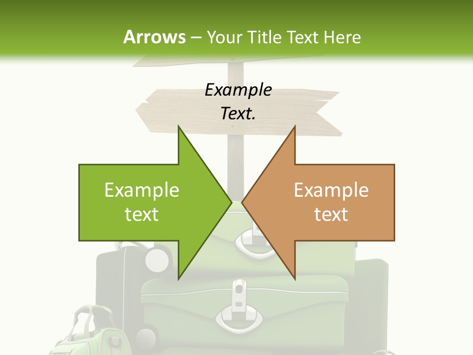 Service Exotic Information PowerPoint Template