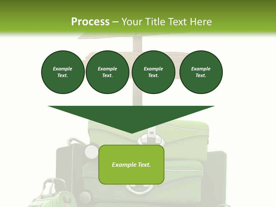 Service Exotic Information PowerPoint Template