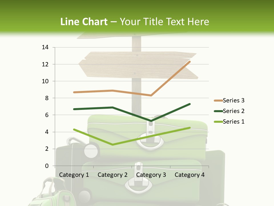 Service Exotic Information PowerPoint Template