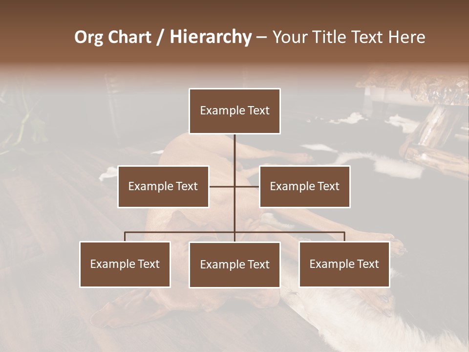 Eyes Background Person PowerPoint Template