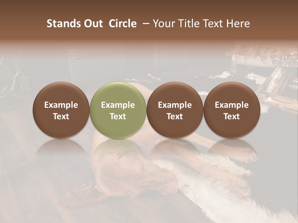 Eyes Background Person PowerPoint Template