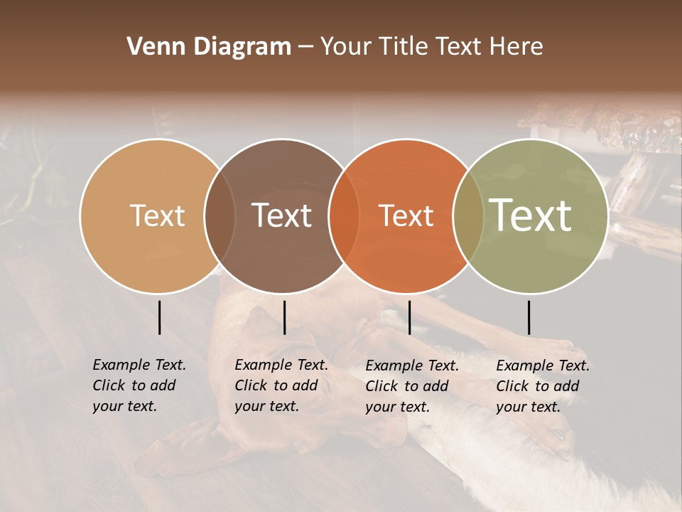 Eyes Background Person PowerPoint Template