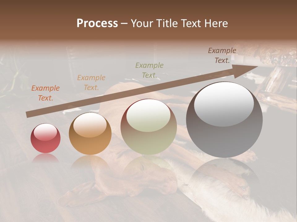 Eyes Background Person PowerPoint Template