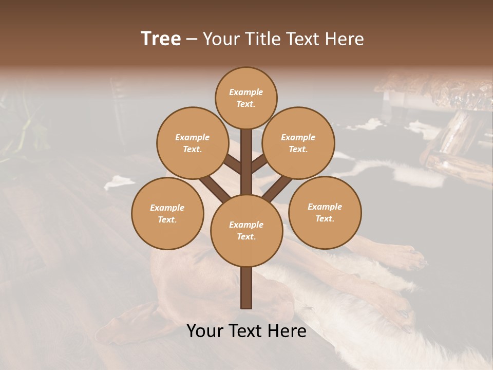 Eyes Background Person PowerPoint Template