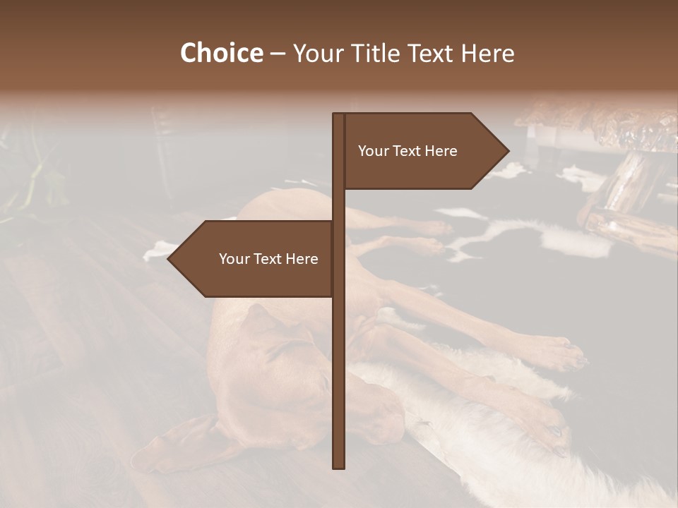 Eyes Background Person PowerPoint Template