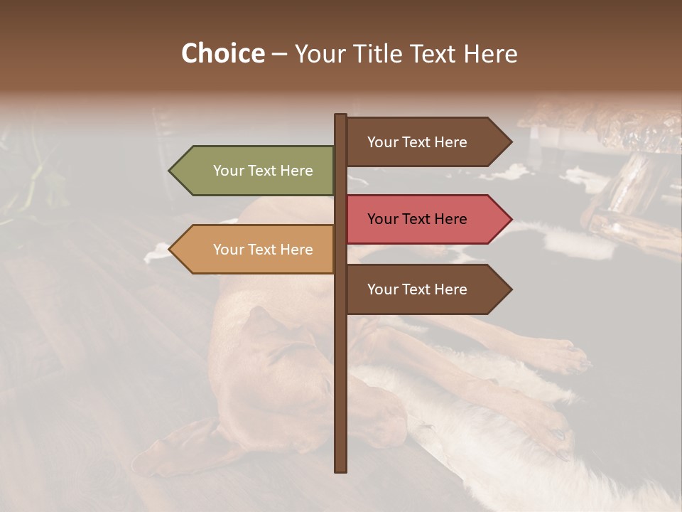 Eyes Background Person PowerPoint Template