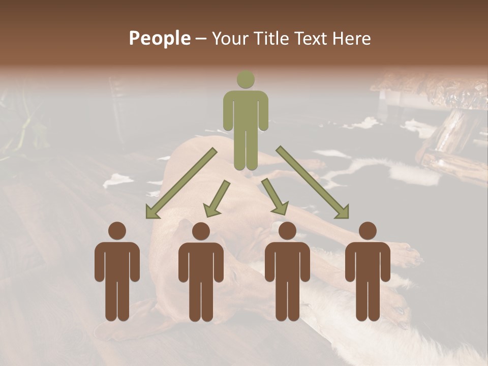 Eyes Background Person PowerPoint Template