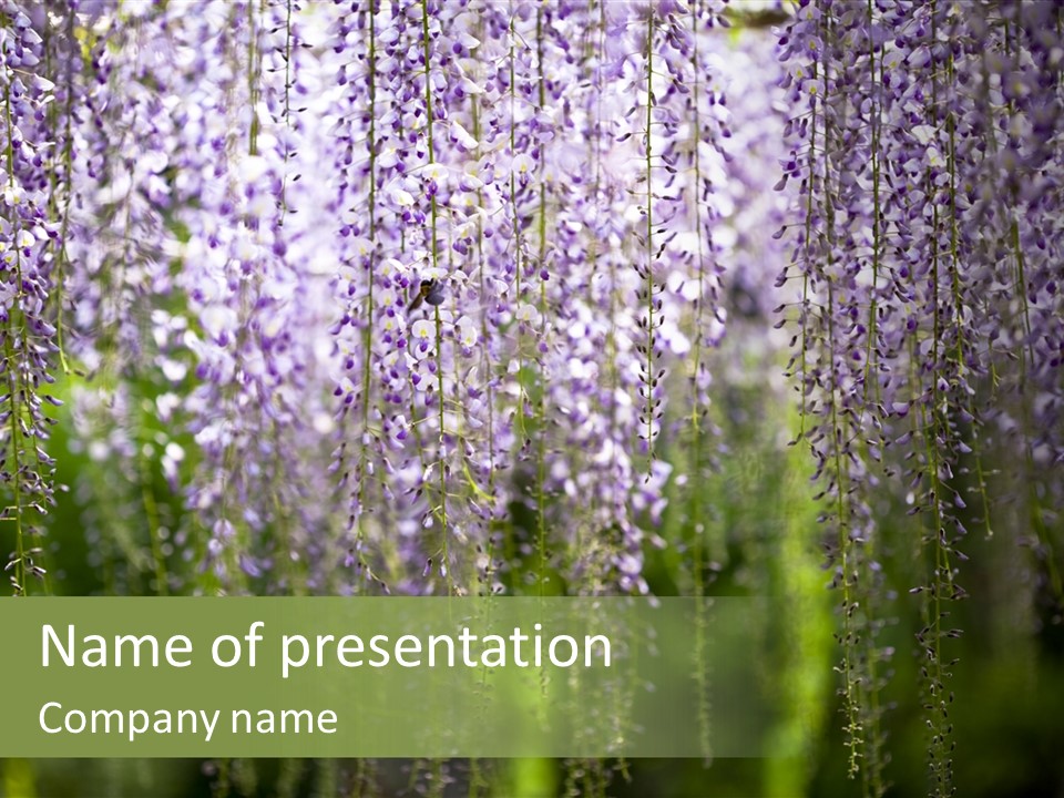 Purple Composition Tree PowerPoint Template