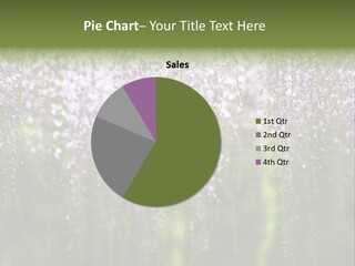 Purple Composition Tree PowerPoint Template