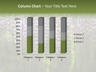 Purple Composition Tree PowerPoint Template