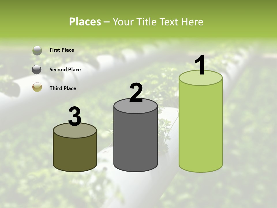 Plant Color Vitamins PowerPoint Template