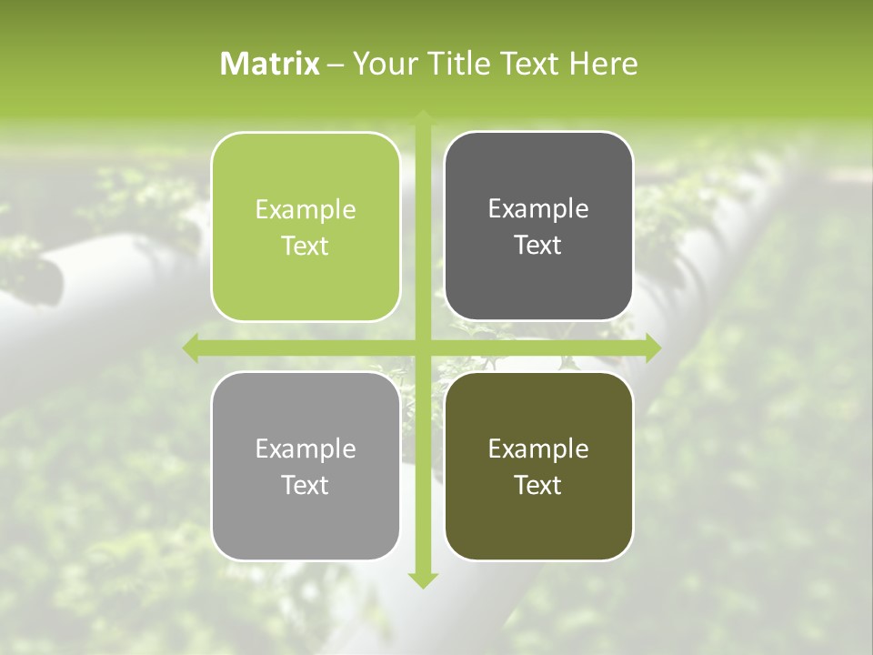 Plant Color Vitamins PowerPoint Template