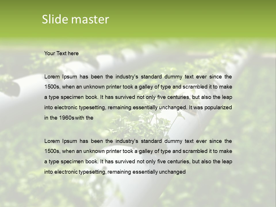 Plant Color Vitamins PowerPoint Template