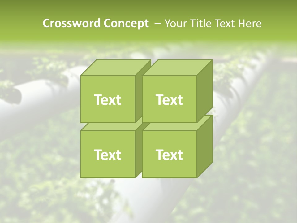 Plant Color Vitamins PowerPoint Template