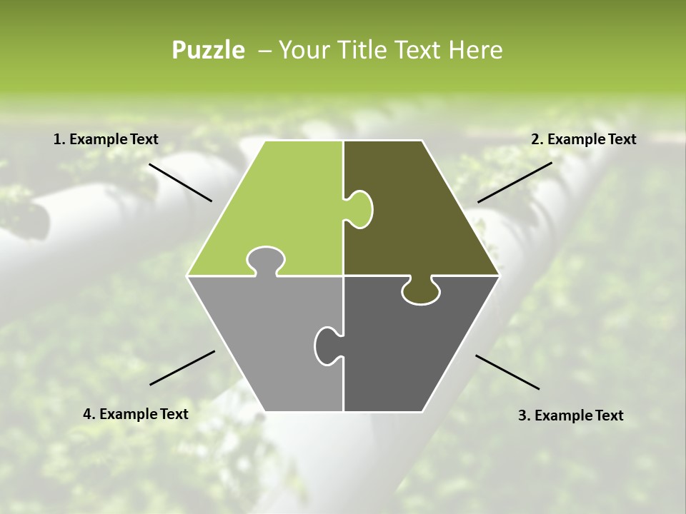 Plant Color Vitamins PowerPoint Template