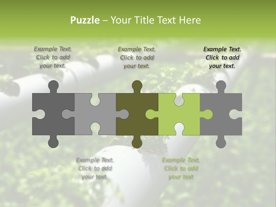 Plant Color Vitamins PowerPoint Template