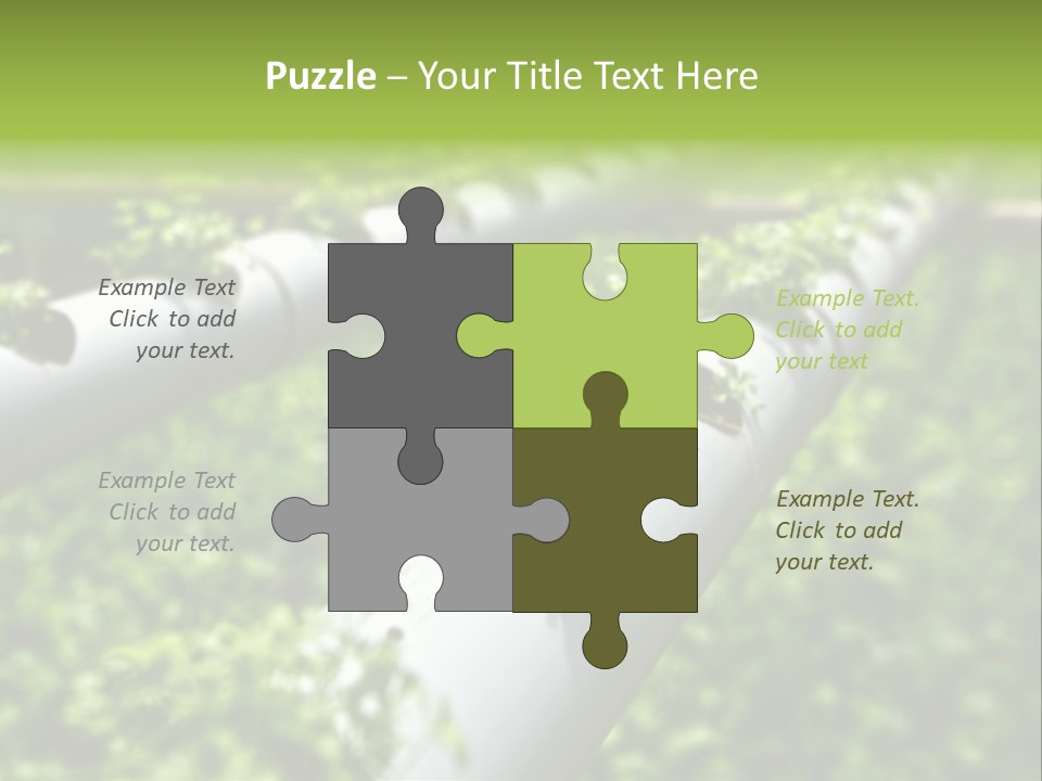 Plant Color Vitamins PowerPoint Template