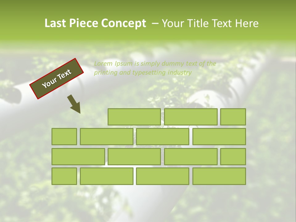 Plant Color Vitamins PowerPoint Template