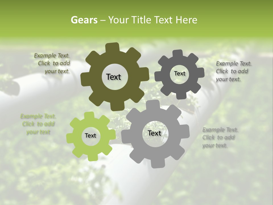 Plant Color Vitamins PowerPoint Template