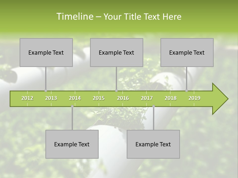 Plant Color Vitamins PowerPoint Template