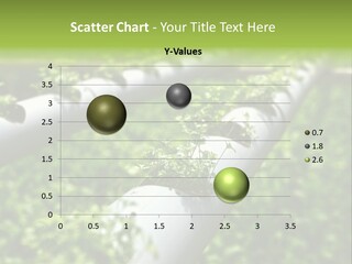 Plant Color Vitamins PowerPoint Template