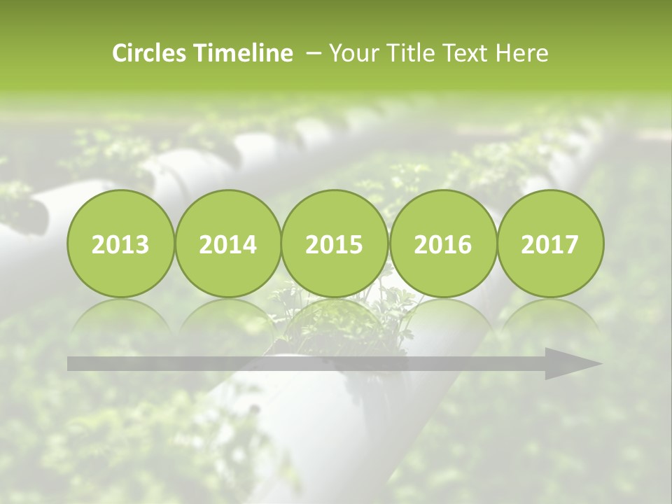 Plant Color Vitamins PowerPoint Template