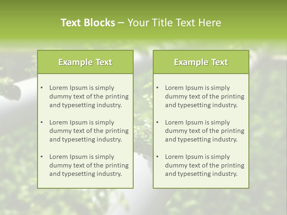 Plant Color Vitamins PowerPoint Template