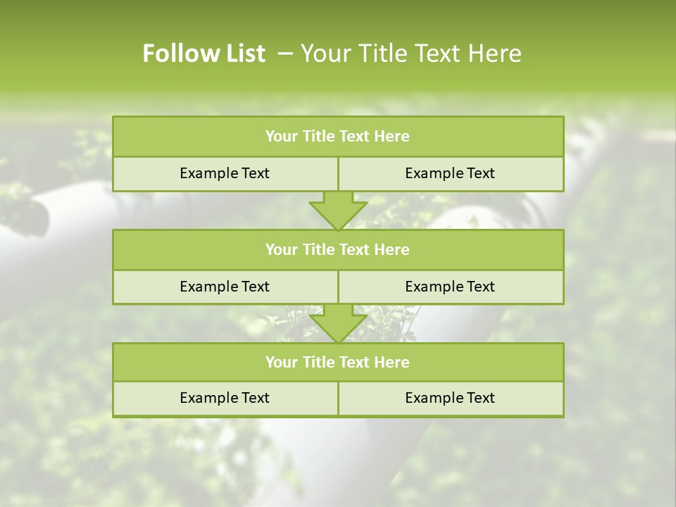 Plant Color Vitamins PowerPoint Template