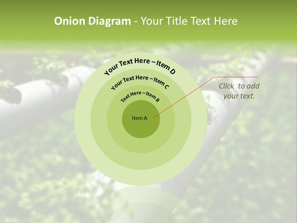 Plant Color Vitamins PowerPoint Template