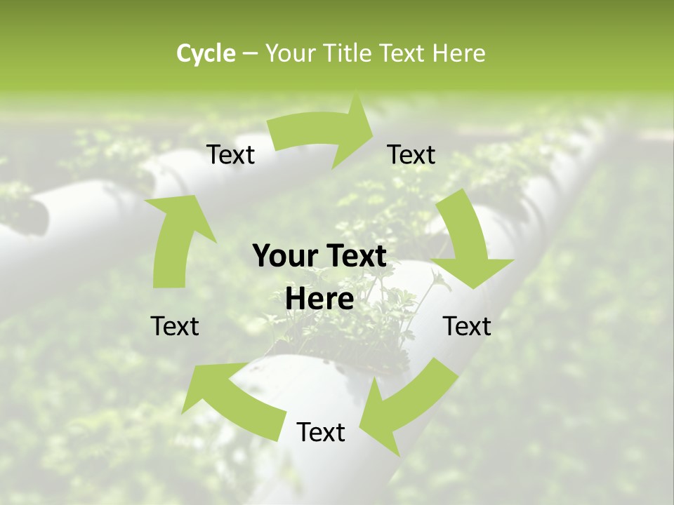 Plant Color Vitamins PowerPoint Template