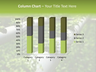 Plant Color Vitamins PowerPoint Template