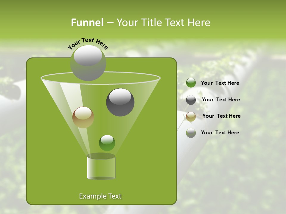 Plant Color Vitamins PowerPoint Template