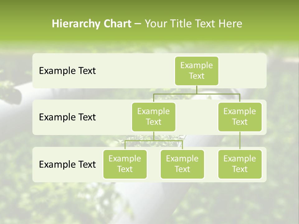 Plant Color Vitamins PowerPoint Template