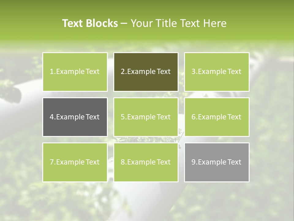Plant Color Vitamins PowerPoint Template