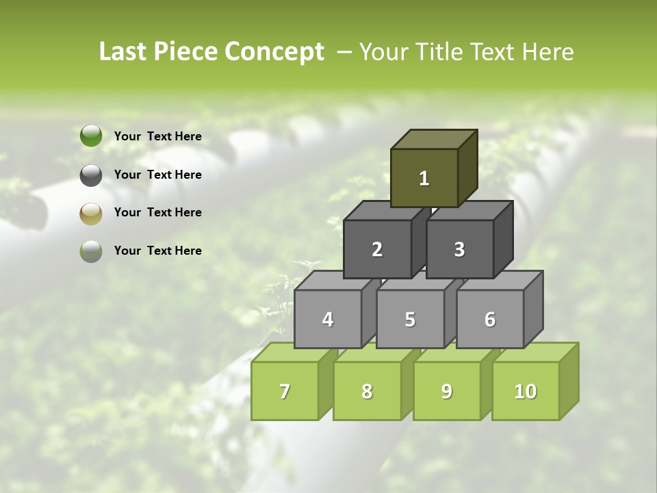 Plant Color Vitamins PowerPoint Template