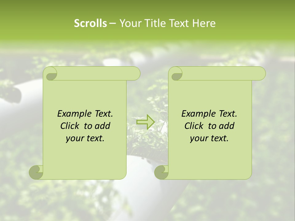 Plant Color Vitamins PowerPoint Template